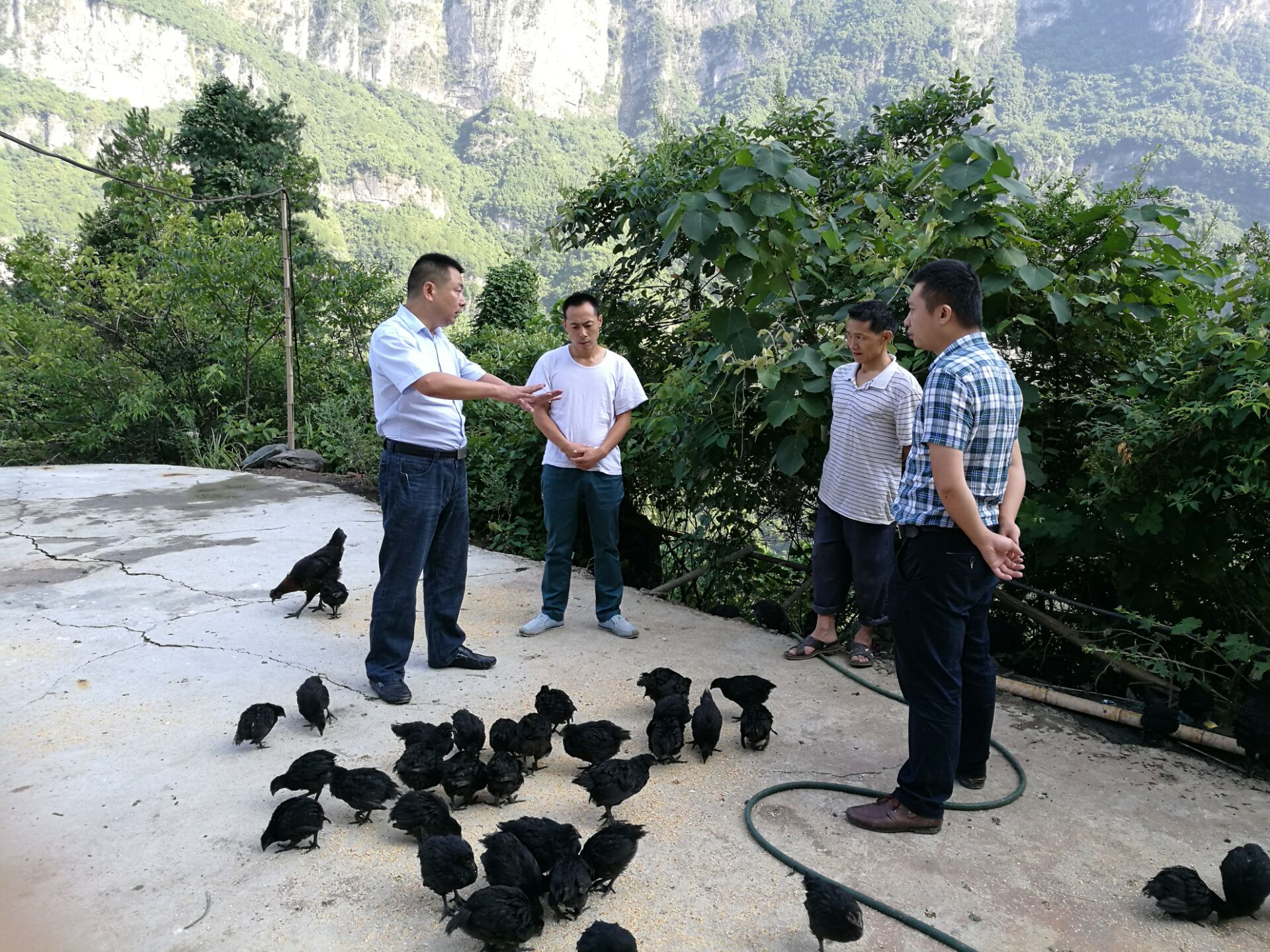 1472096183123402.jpg QQ圖片20160804100821.jpg