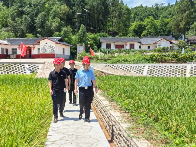 1723515755782522.jpg 1.jpg