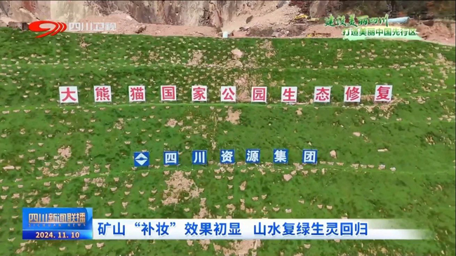 1731480409951365.jpg 1.jpg