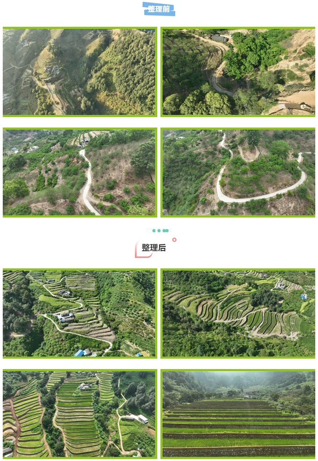 1737994197119700.jpg 101010101010.jpg