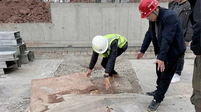 1742365446635047.jpg 3.jpg